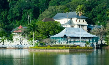 Family Fun & Heritage Tour