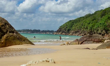 South Coast Beach & Adventure Tour